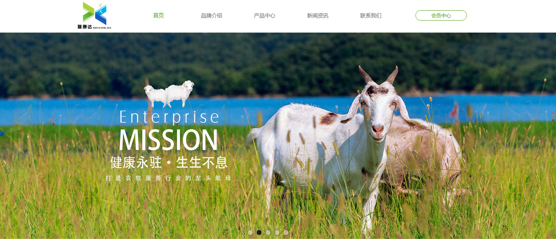  沈阳鑫康达贸易有限公司